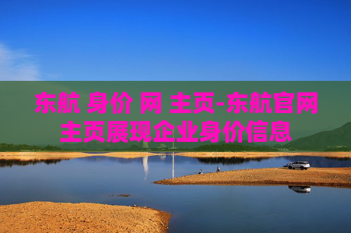 东航 身价 网 主页-东航官网主页展现企业身价信息