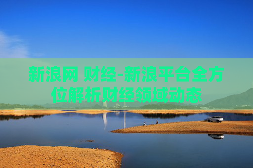 新浪网 财经-新浪平台全方位解析财经领域动态