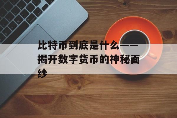 比特币到底是什么——揭开数字货币的神秘面纱